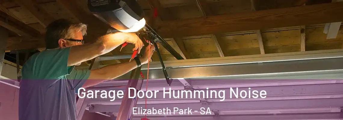 Garage Door Humming Noise Elizabeth Park - SA