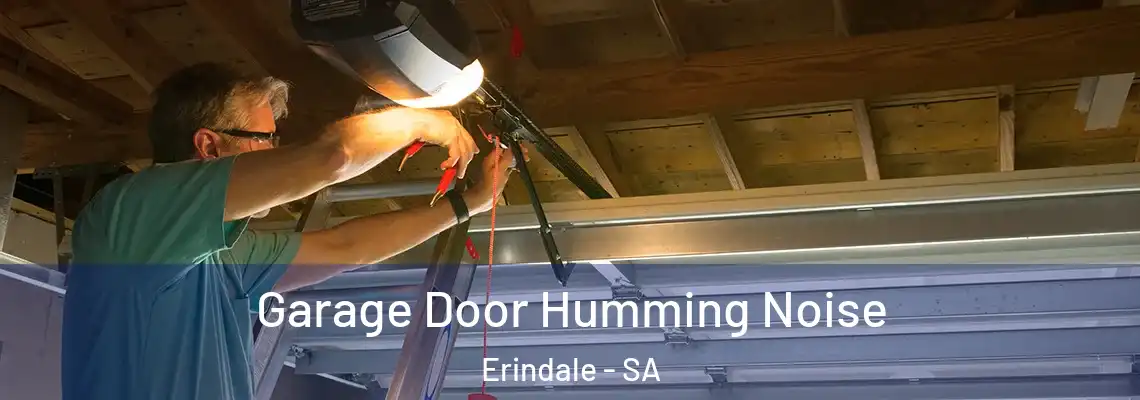 Garage Door Humming Noise Erindale - SA