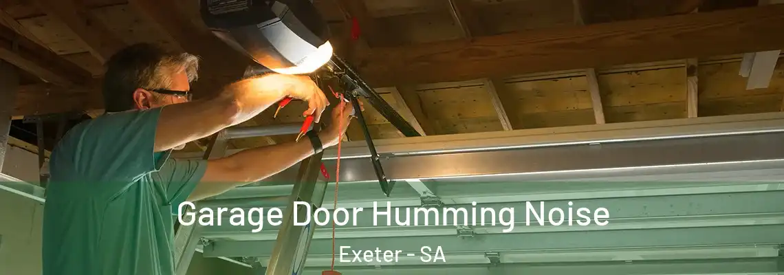 Garage Door Humming Noise Exeter - SA