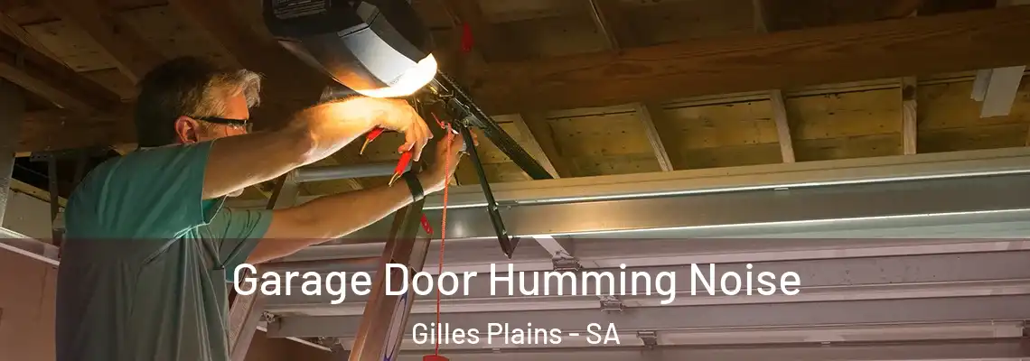 Garage Door Humming Noise Gilles Plains - SA