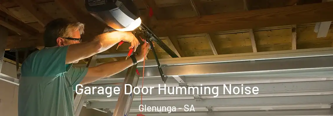  Garage Door Humming Noise Glenunga - SA
