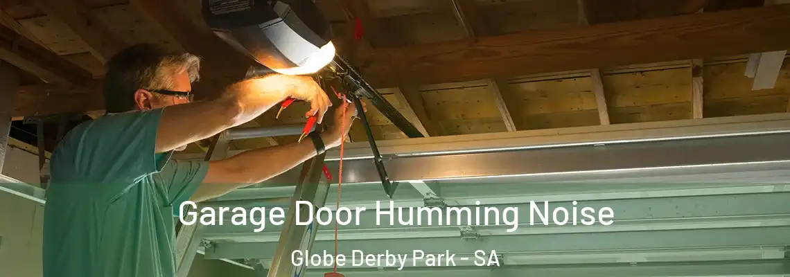 Garage Door Humming Noise Globe Derby Park - SA
