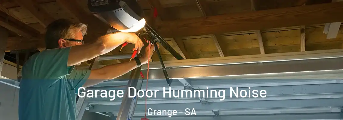  Garage Door Humming Noise Grange - SA