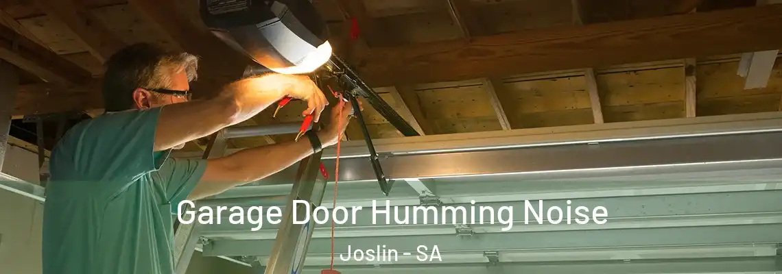  Garage Door Humming Noise Joslin - SA