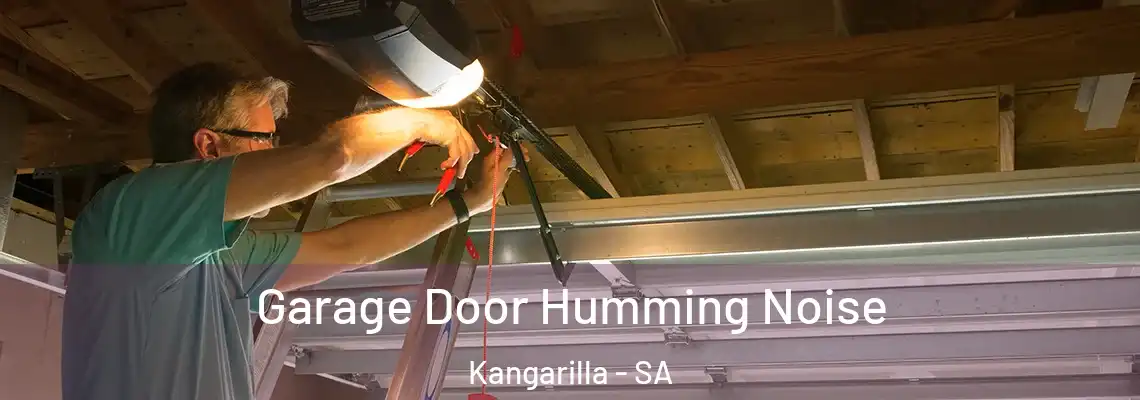 Garage Door Humming Noise Kangarilla - SA