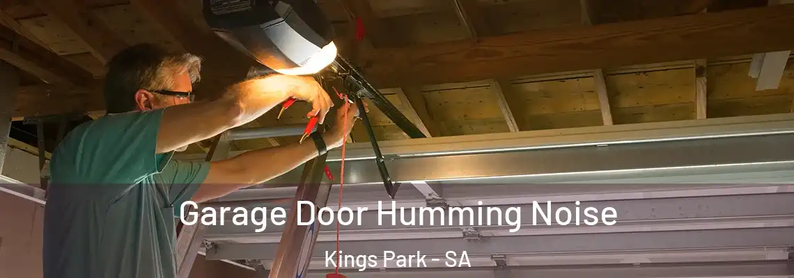 Garage Door Humming Noise Kings Park - SA