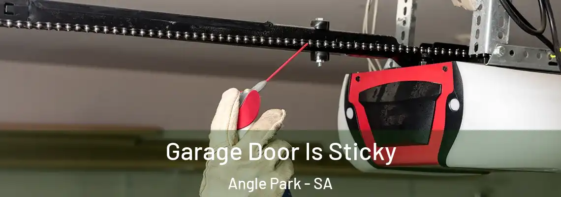 Garage Door Is Sticky Angle Park - SA