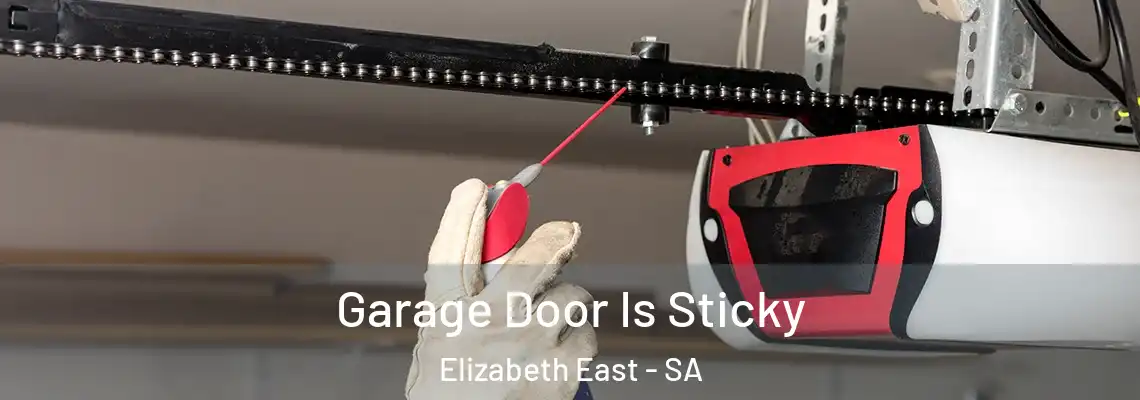 Garage Door Is Sticky Elizabeth East - SA
