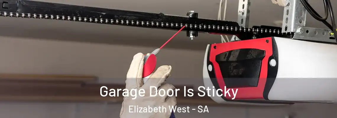  Garage Door Is Sticky Elizabeth West - SA
