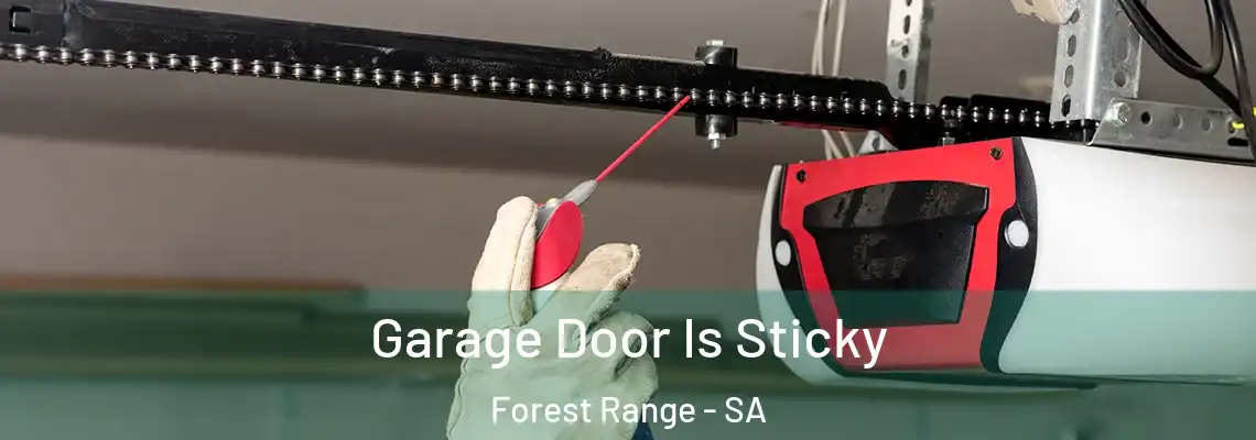 Garage Door Is Sticky Forest Range - SA