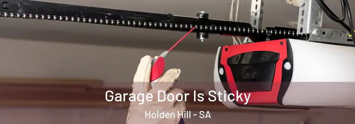  Garage Door Is Sticky Holden Hill - SA