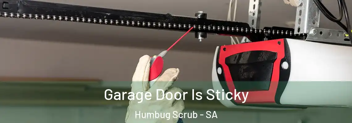  Garage Door Is Sticky Humbug Scrub - SA