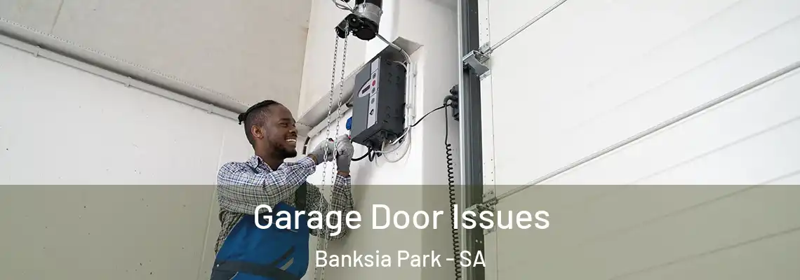 Garage Door Issues Banksia Park - SA