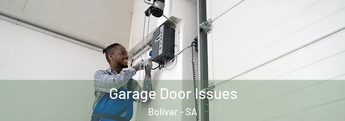 Garage Door Issues Bolivar - SA