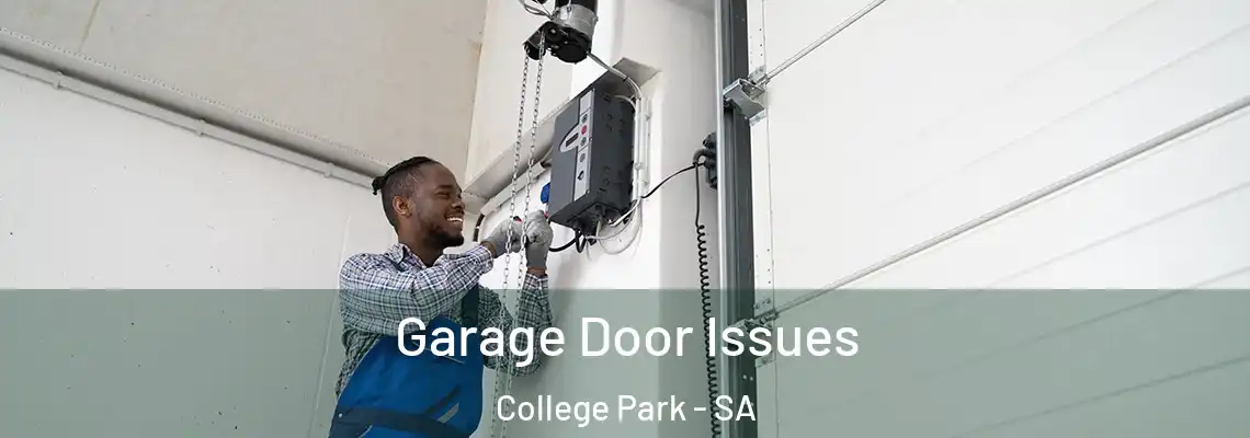  Garage Door Issues College Park - SA