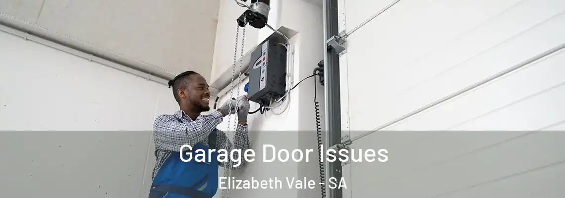 Garage Door Issues Elizabeth Vale - SA