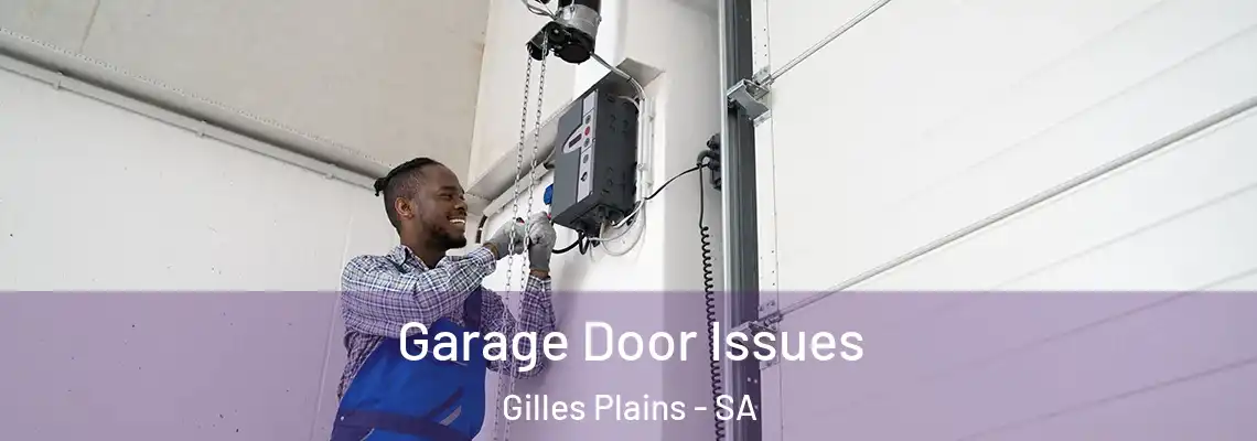 Garage Door Issues Gilles Plains - SA