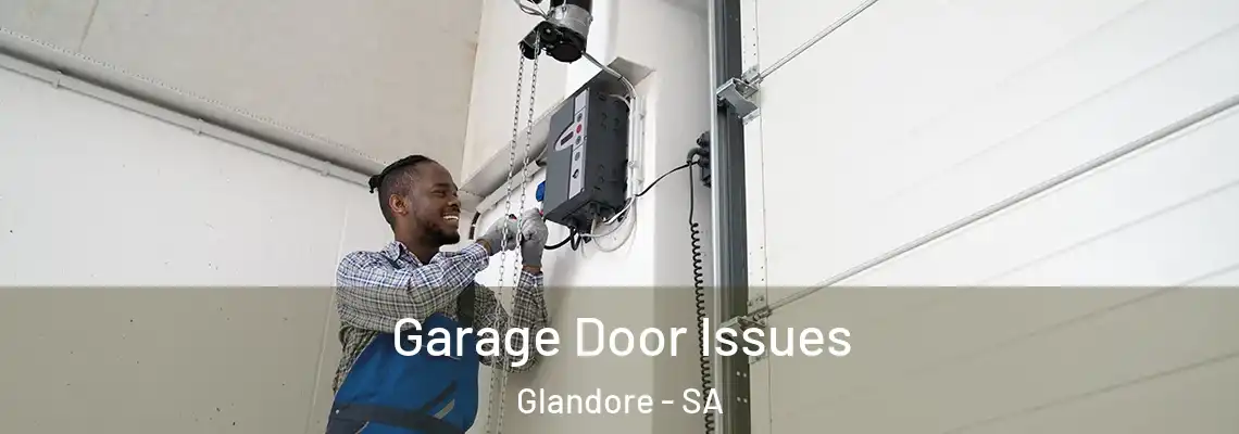 Garage Door Issues Glandore - SA