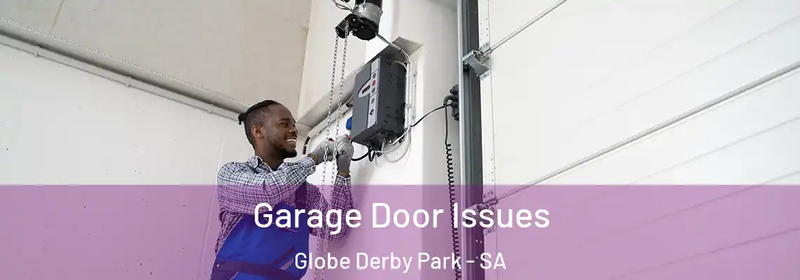  Garage Door Issues Globe Derby Park - SA