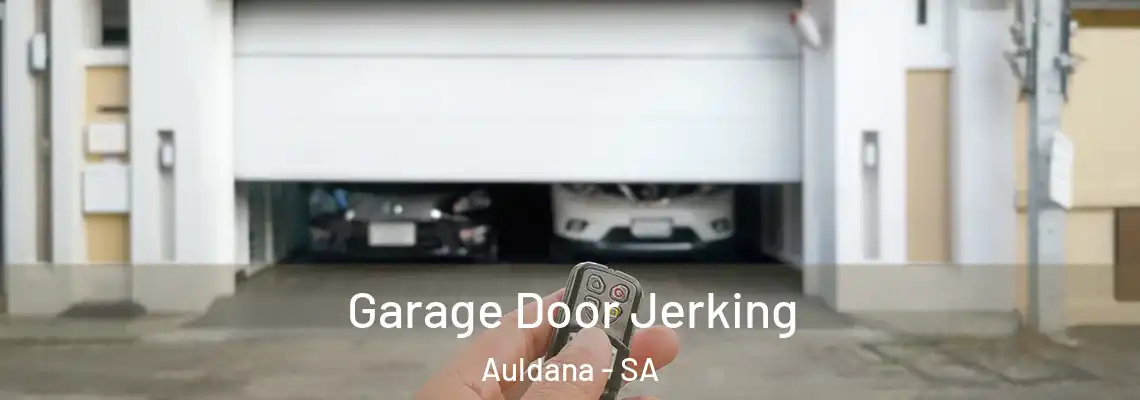  Garage Door Jerking Auldana - SA