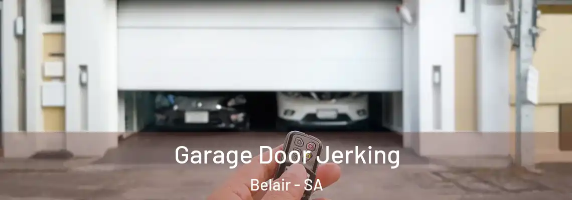  Garage Door Jerking Belair - SA