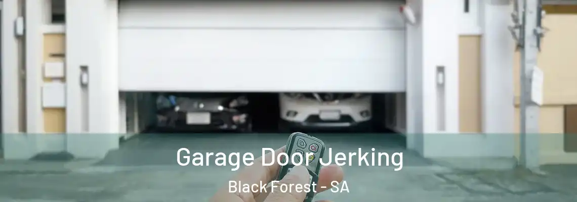 Garage Door Jerking Black Forest - SA