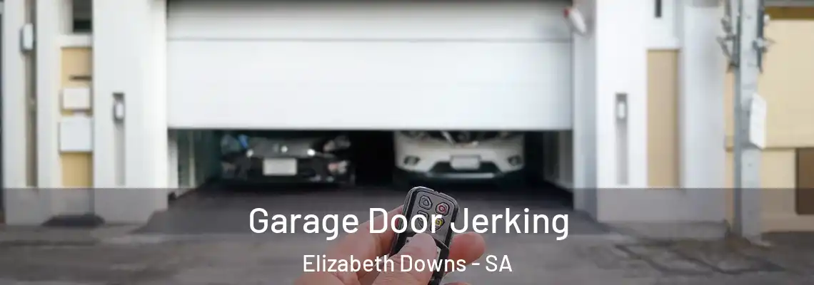  Garage Door Jerking Elizabeth Downs - SA