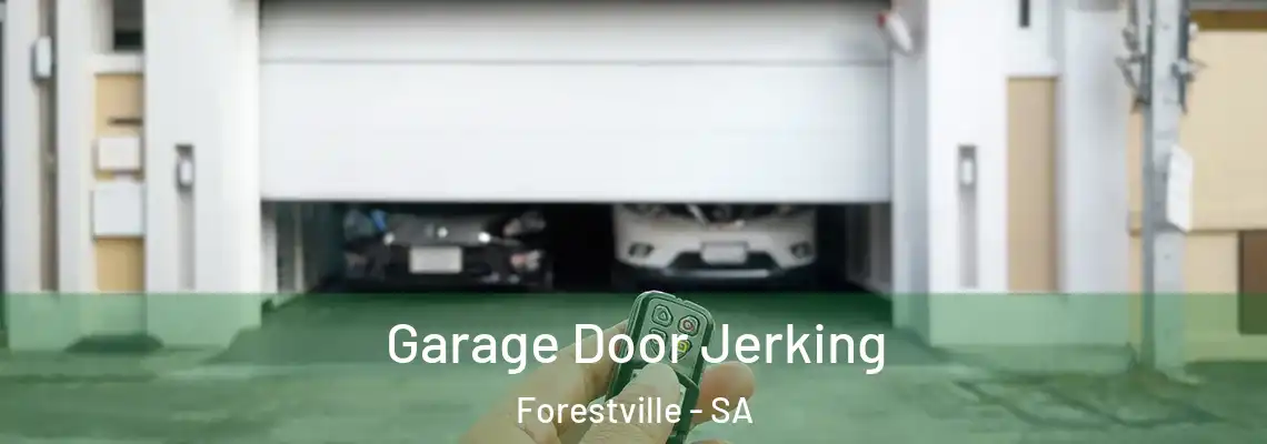 Garage Door Jerking Forestville - SA