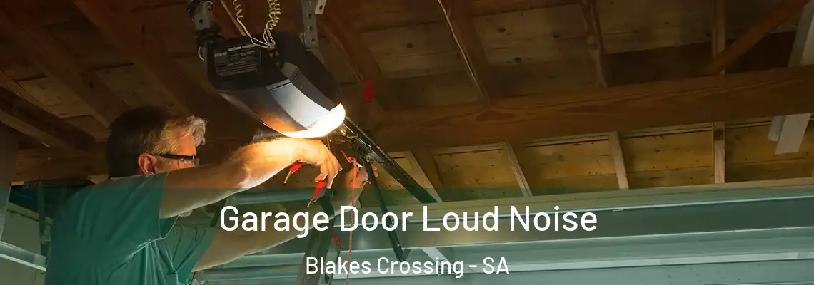 Garage Door Loud Noise Blakes Crossing - SA