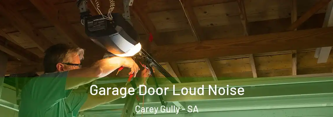  Garage Door Loud Noise Carey Gully - SA