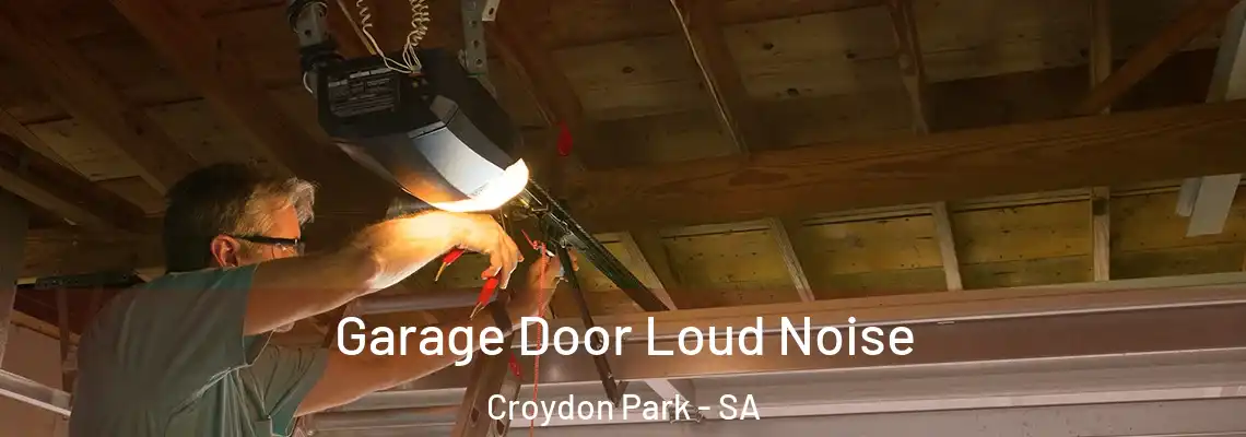 Garage Door Loud Noise Croydon Park - SA
