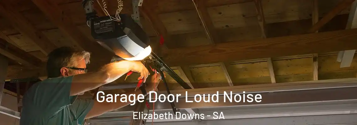  Garage Door Loud Noise Elizabeth Downs - SA