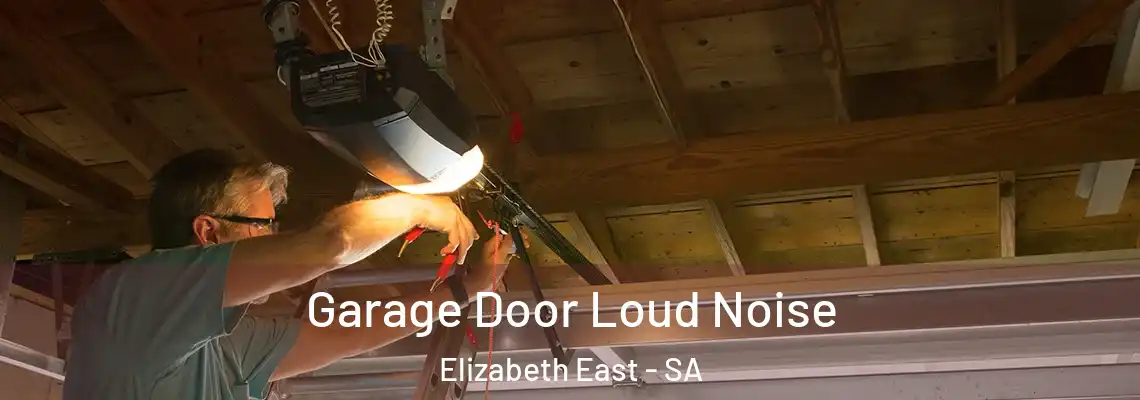 Garage Door Loud Noise Elizabeth East - SA