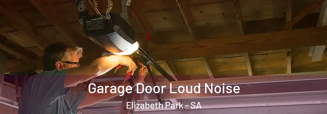  Garage Door Loud Noise Elizabeth Park - SA