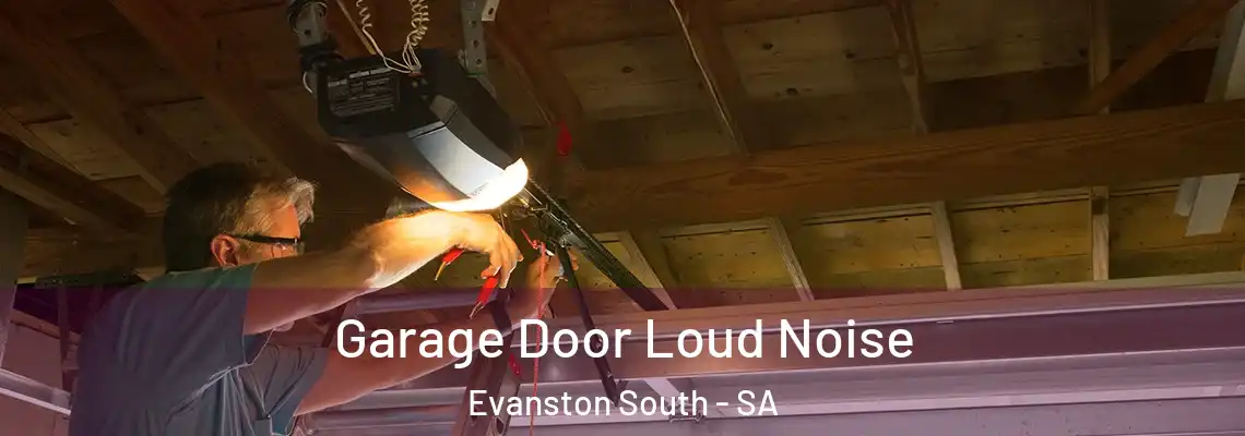 Garage Door Loud Noise Evanston South - SA