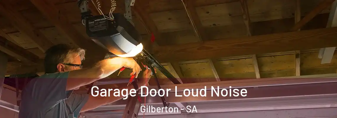Garage Door Loud Noise Gilberton - SA