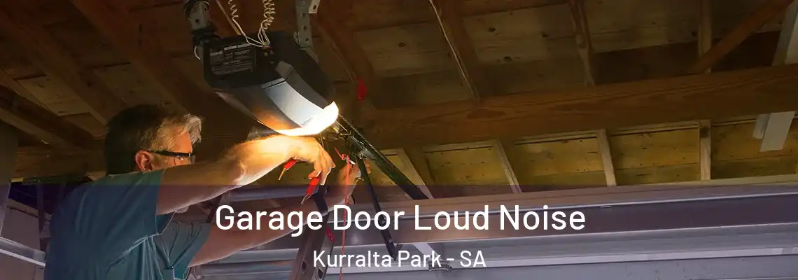  Garage Door Loud Noise Kurralta Park - SA