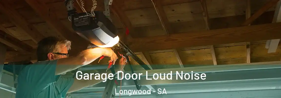 Garage Door Loud Noise Longwood - SA