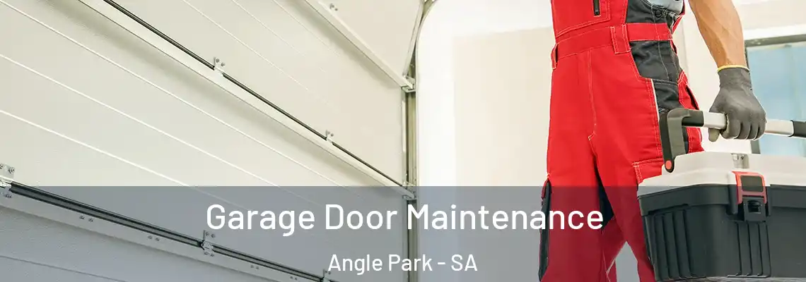 Garage Door Maintenance Angle Park - SA