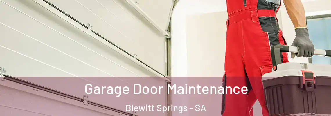  Garage Door Maintenance Blewitt Springs - SA