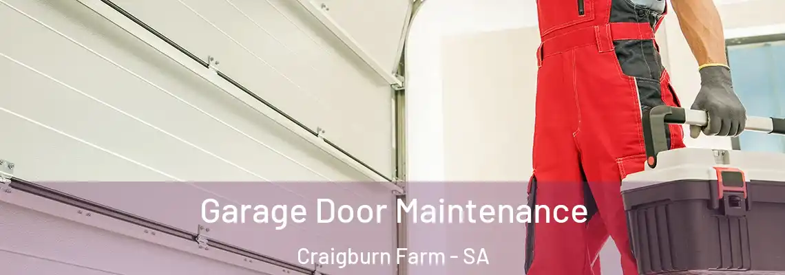 Garage Door Maintenance Craigburn Farm - SA