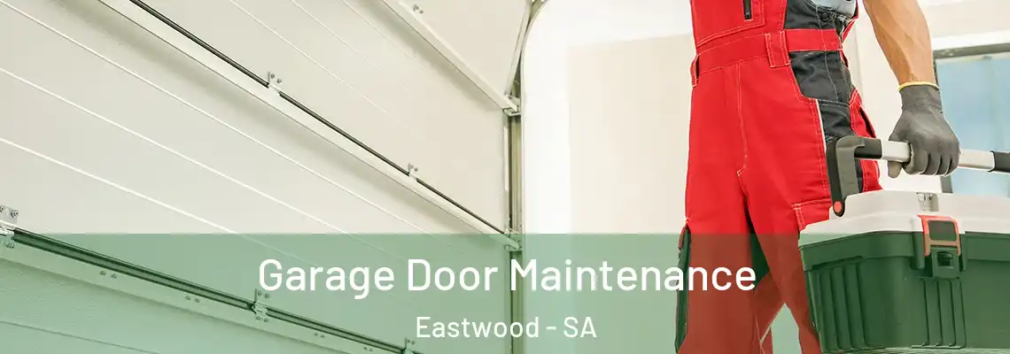 Garage Door Maintenance Eastwood - SA