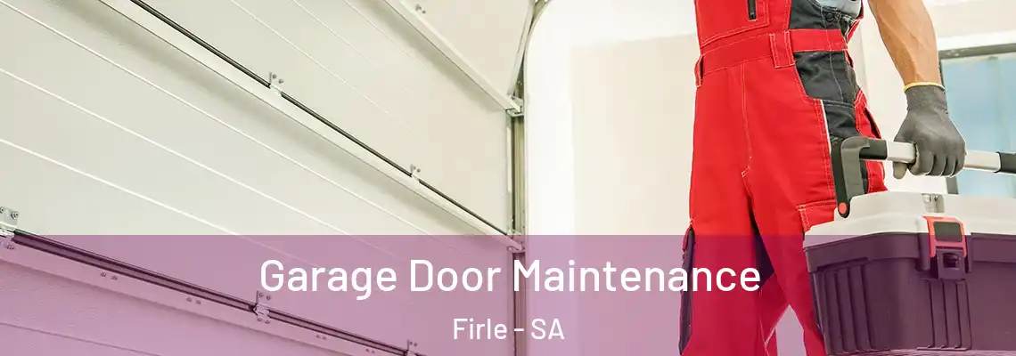  Garage Door Maintenance Firle - SA