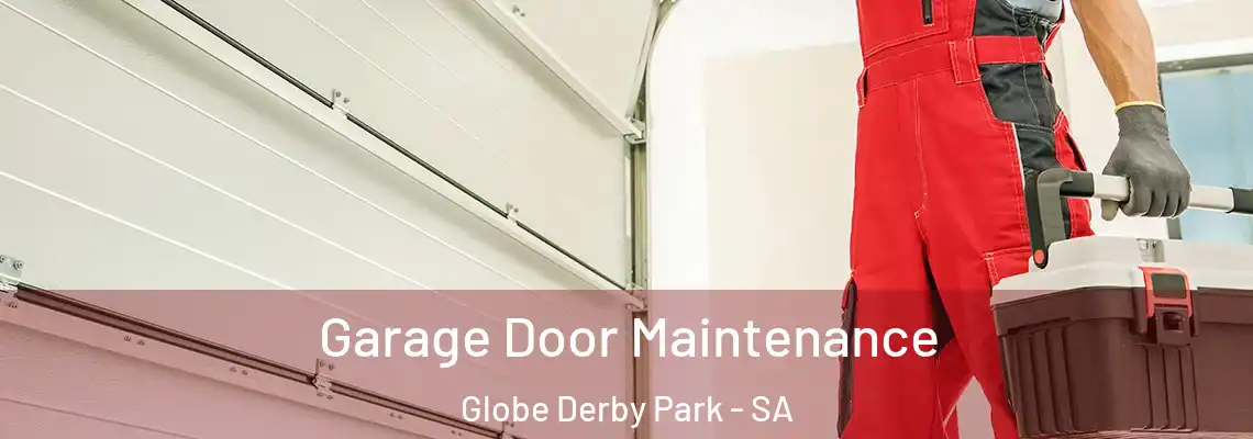  Garage Door Maintenance Globe Derby Park - SA