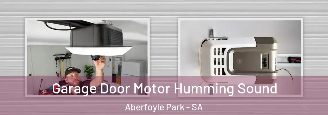  Garage Door Motor Humming Sound Aberfoyle Park - SA