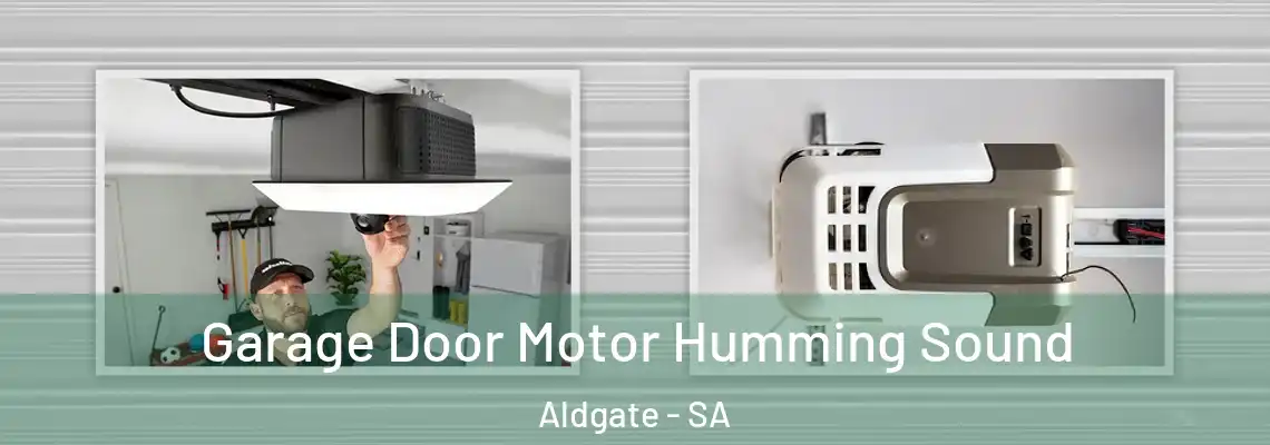  Garage Door Motor Humming Sound Aldgate - SA