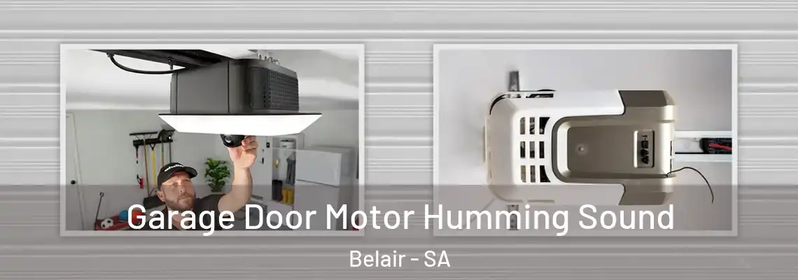  Garage Door Motor Humming Sound Belair - SA