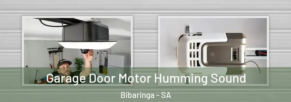Garage Door Motor Humming Sound Bibaringa - SA