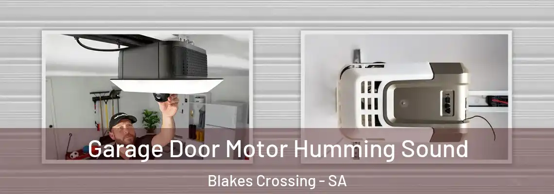  Garage Door Motor Humming Sound Blakes Crossing - SA