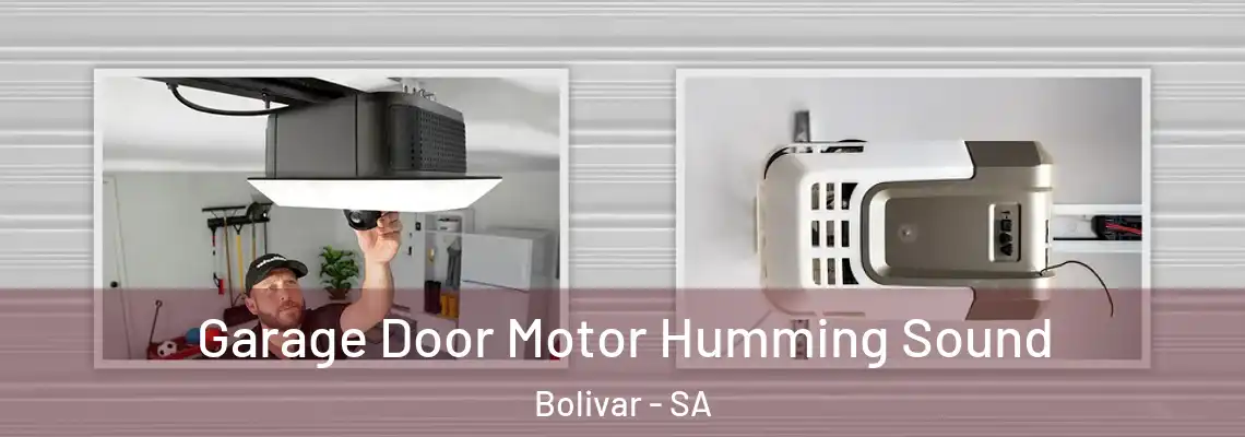 Garage Door Motor Humming Sound Bolivar - SA